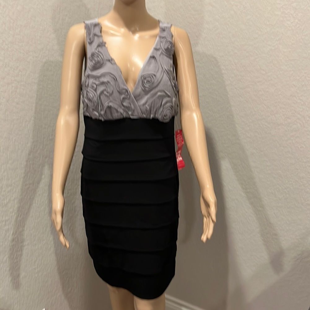 Nwt Vintage Enfocus studio dress